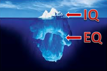 Эмоциональный интеллект VIP - Фролова О. (2016)_0.png